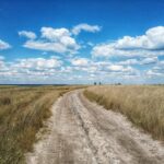 Степи херсонщини. Фото Дарія Ківаліна.