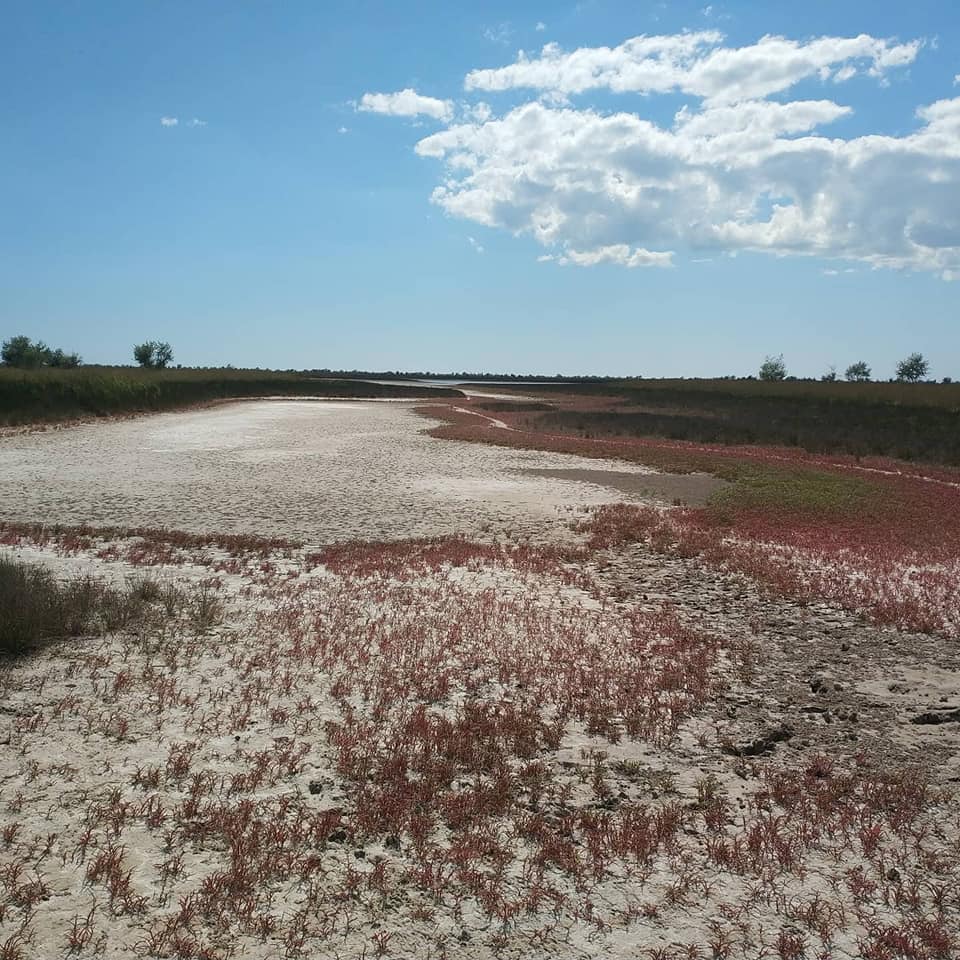 Солончаки. Фото Дарія Ківаліна.