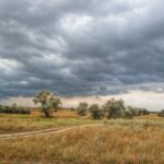 Скадовський степ. Фото Дарія Ківаліна